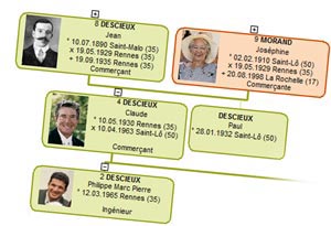 Arbre généalogique avec photos