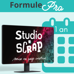 Studio-Scrap 9 - Pro - 1 an