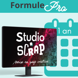 Studio-Scrap 9 - Pro - Pass 1 an