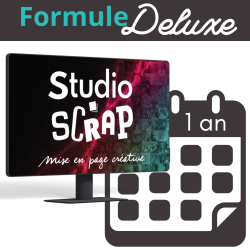Studio-Scrap 9 - Deluxe - 1 an
