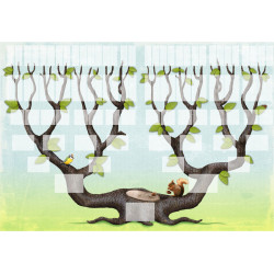Pack de 22 modèles d'arbres généalogiques pour Généatique