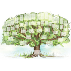 Pack de 22 modèles d'arbres généalogiques pour Généatique