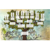 Pack de 22 modèles d'arbres généalogiques pour Généatique