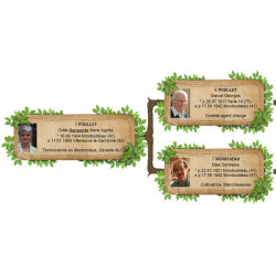 Pack de 22 modèles d'arbres généalogiques pour Généatique