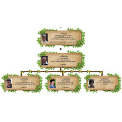 Pack de 22 modèles d'arbres généalogiques pour Généatique