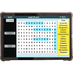 Facilotab Classic - WiFi - 128Go - Android 15 - Tablette simplifiée pour Seniors