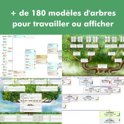 Pour passer à Généatique Prestige Edition 2027 en téléchargement