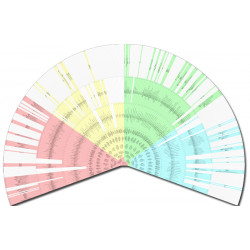 Graphique D'arbre Généalogique ; Tableau Généalogique Compact 8 Générations, Papier 120 G