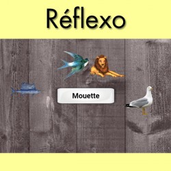 Réflexo