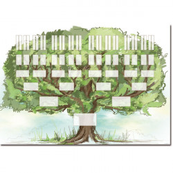 Arbre généalogique 6...