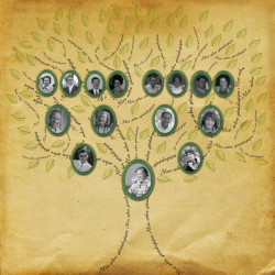 Pack 50 arbres & portraits de famille pour Studio-Scrap