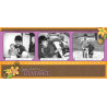 Pack 50 arbres & portraits de famille pour Studio-Scrap