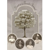 Pack 50 arbres & portraits de famille pour Studio-Scrap