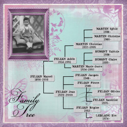 Pack 50 arbres & portraits de famille pour Studio-Scrap