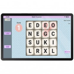 Tablette simplifiée Facilotab L Galaxy - 10,5 p - WiFi/4G - 32 Go - Android 14 - Marque SAMSUNG - Interface seniors