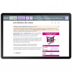 Tablette simplifiée Facilotab L Galaxy - 10,5 p - WiFi/4G - 32 Go - Android 14 - Marque SAMSUNG - Interface seniors