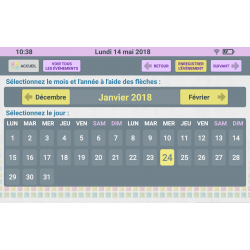 Tablette simplifiée Facilotab L Galaxy - 10,5 p - WiFi/4G - 32 Go - Android 14 - Marque SAMSUNG - Interface seniors