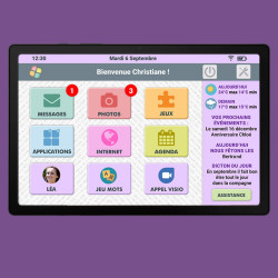 Tablette simplifiée Facilotab L Galaxy - 10,5 p - WiFi/4G - 32 Go - Android 14 - Marque SAMSUNG - Interface seniors