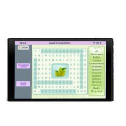 Facilotab L Rubis - WiFi/4G - 64 Go - Android 11 - Etui - Tablette simplifiée pour Seniors - Occasion - Très bon état