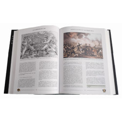 Napoléon en Autriche : la campagne de 1809 - Les opérations du 24 avril au 12 juillet