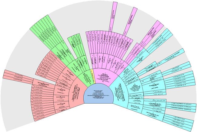 Généatique : branches familiales colorées