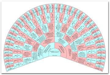 Arbre circulaire 2