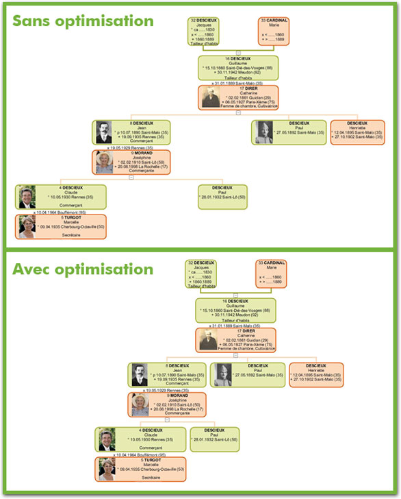 L'optimisation du placement des cases dans un arbre généalogique