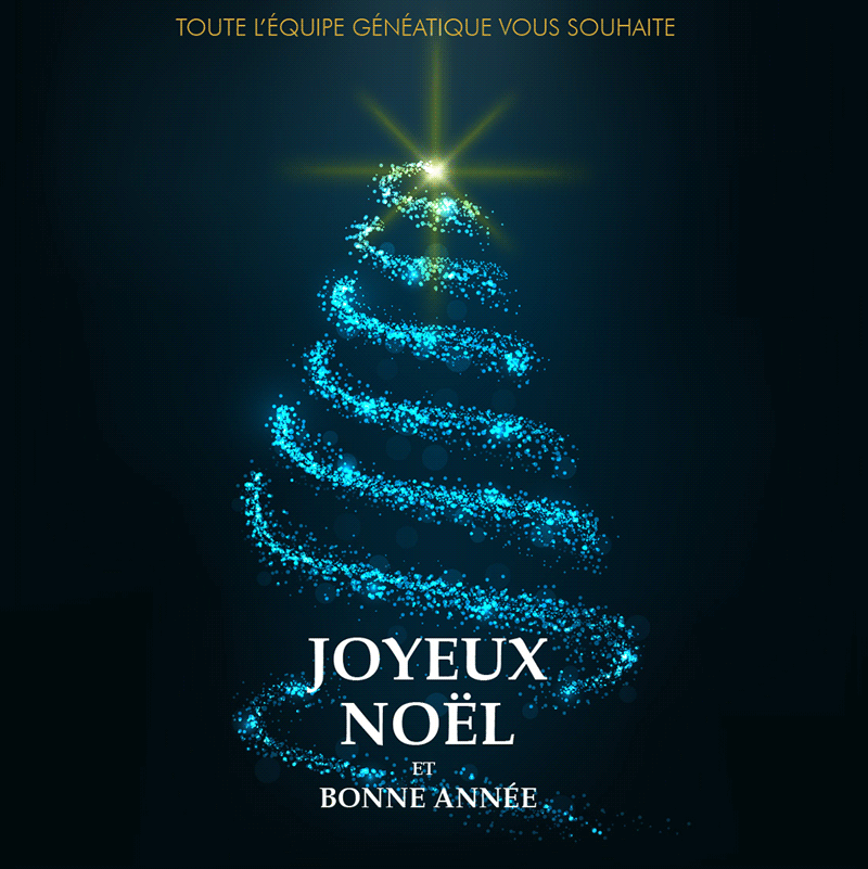 Joyeuses Fêtes de Fin d'Année  Carte joyeux noel, Fête de fin d