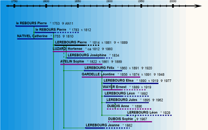 Les blasons dans l'arbre généalogique