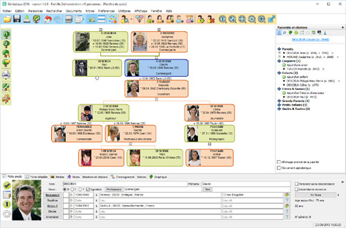 Saisissez et visualisez l'arbre généalogique