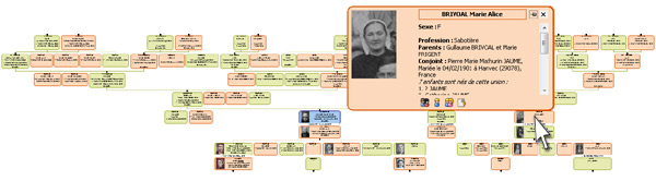 Fiche d'identité