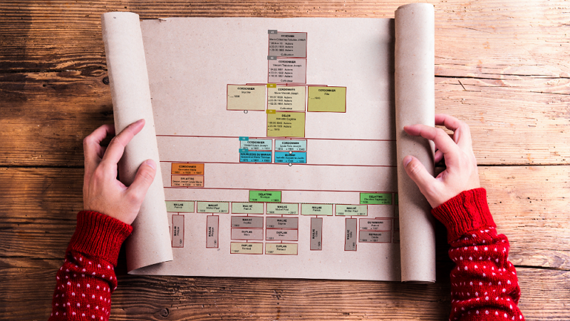 Arbre généalogique descendant imprimé sur un rouleau de papier