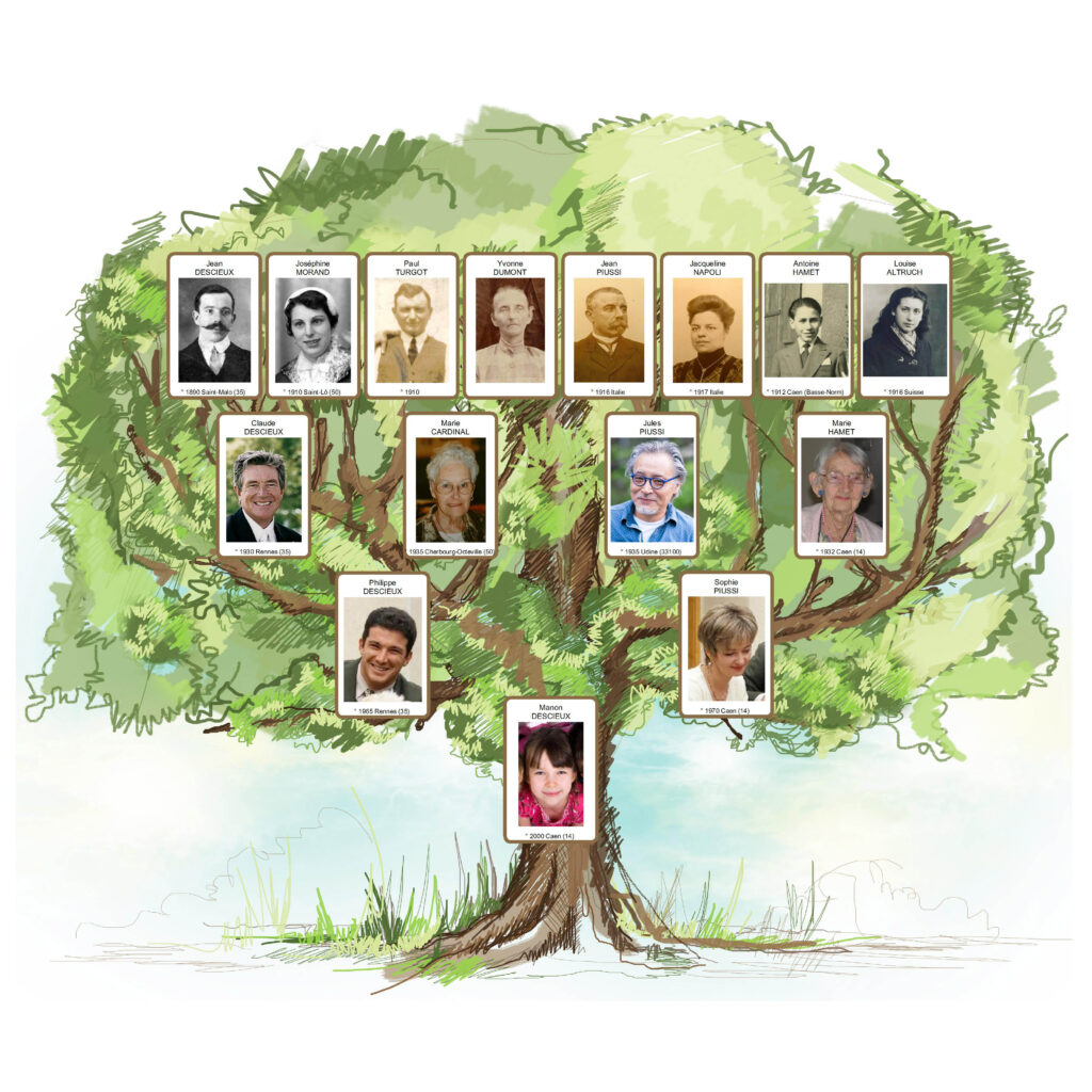 arbre généatique copyright