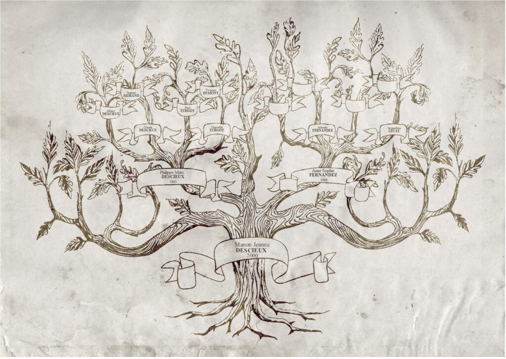 arbre généatique copyright