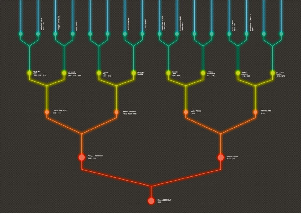 arbre généatique copyright