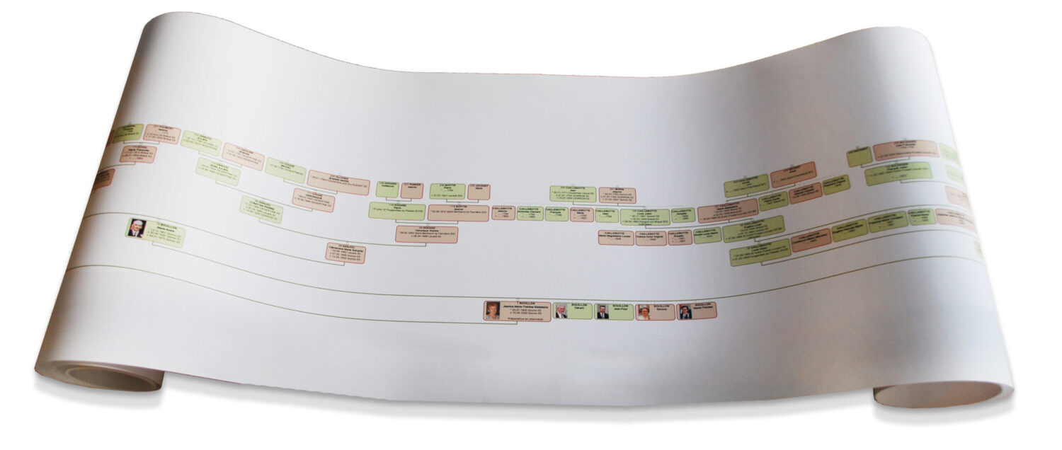 photo d'un arbre roulé