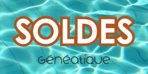 soldes 2026