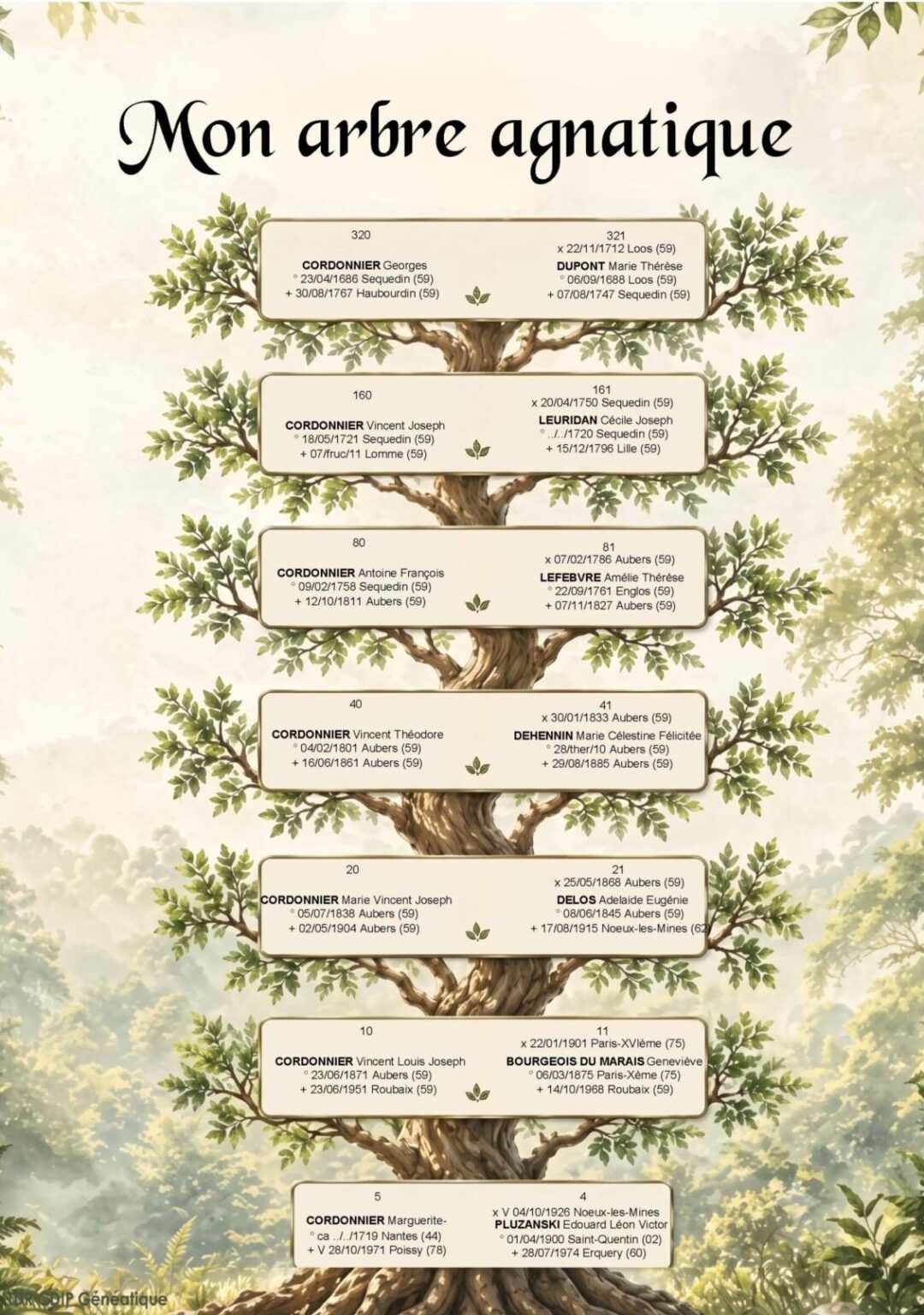 arbre généalogique agnatique